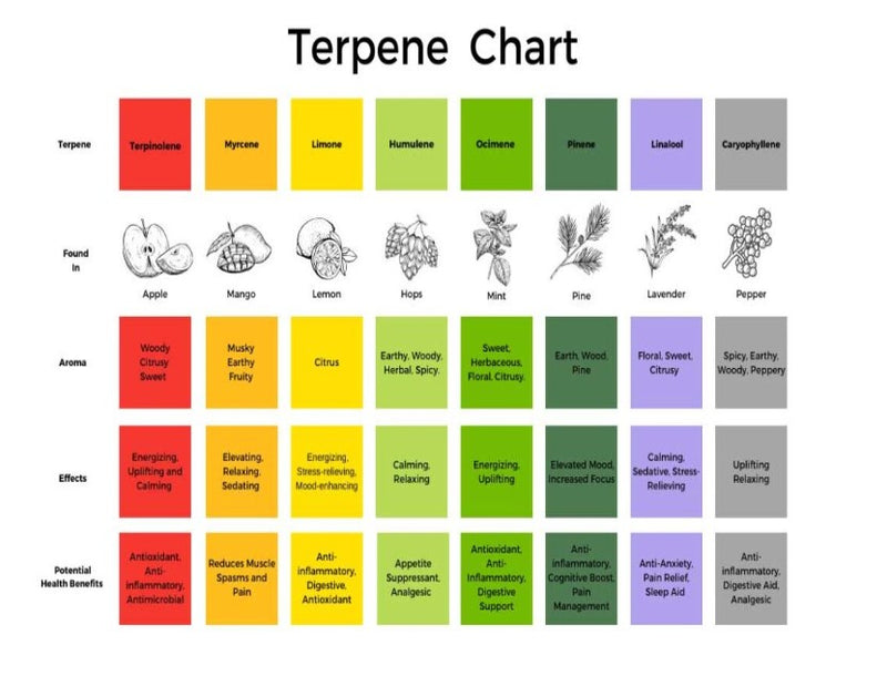 What is terpenes chart?