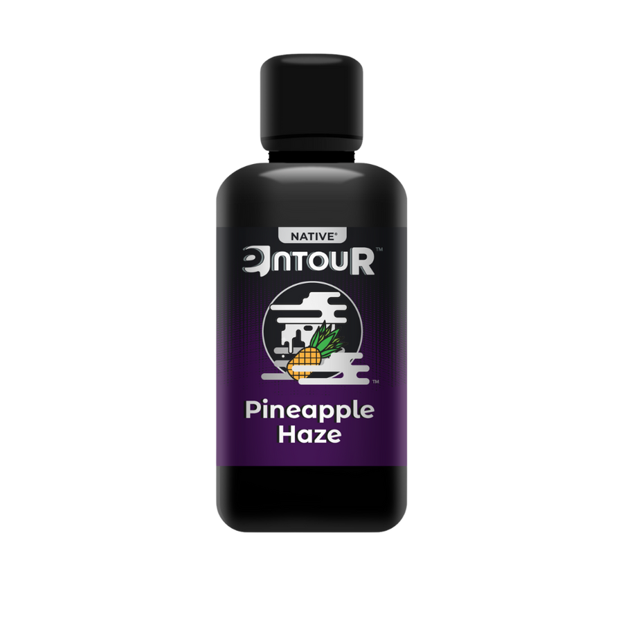 Pineapple Haze - Botanical Terpenes